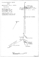 MSG J9 Flushiemere Mine and Bropery Gill Level - Teesdale